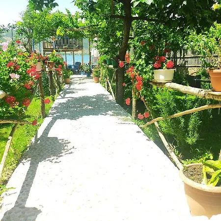 Erda Lakeside Lini